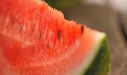 网红吃的生瓜是什么品种,探寻神秘品种背后的美味传奇