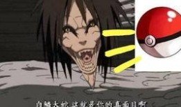 晓蛇爆料视频大全最新章节,揭秘最新章节背后的惊人真相